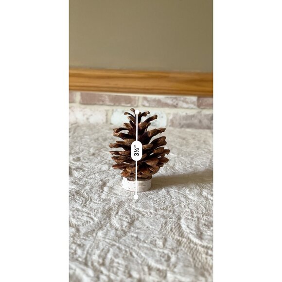 Pinecone & Birch Place Card Holders - Set Of 10 Natural Rustic Table Decor - Picture 9 of 11